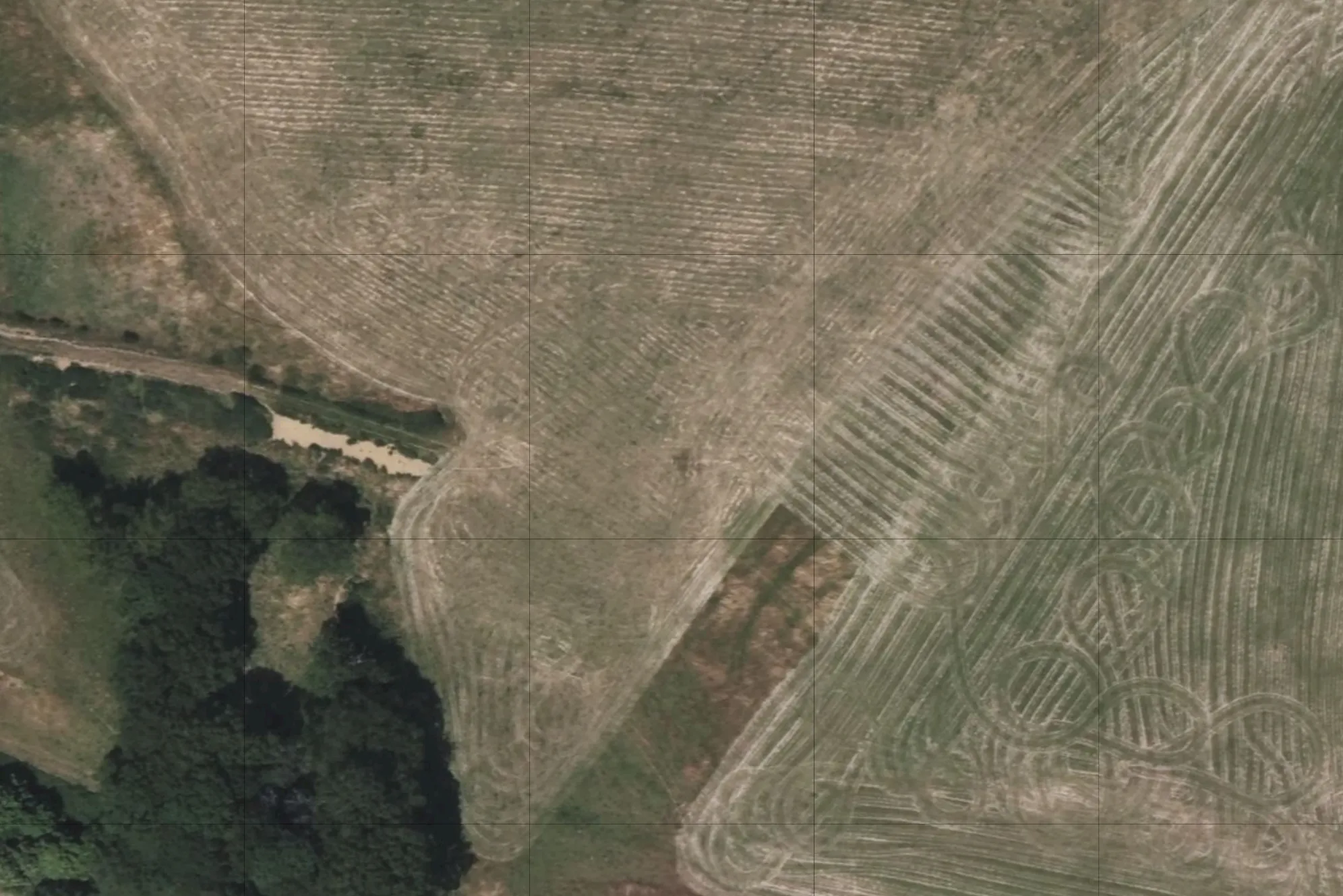 Same field with no visible path in aerial imagery