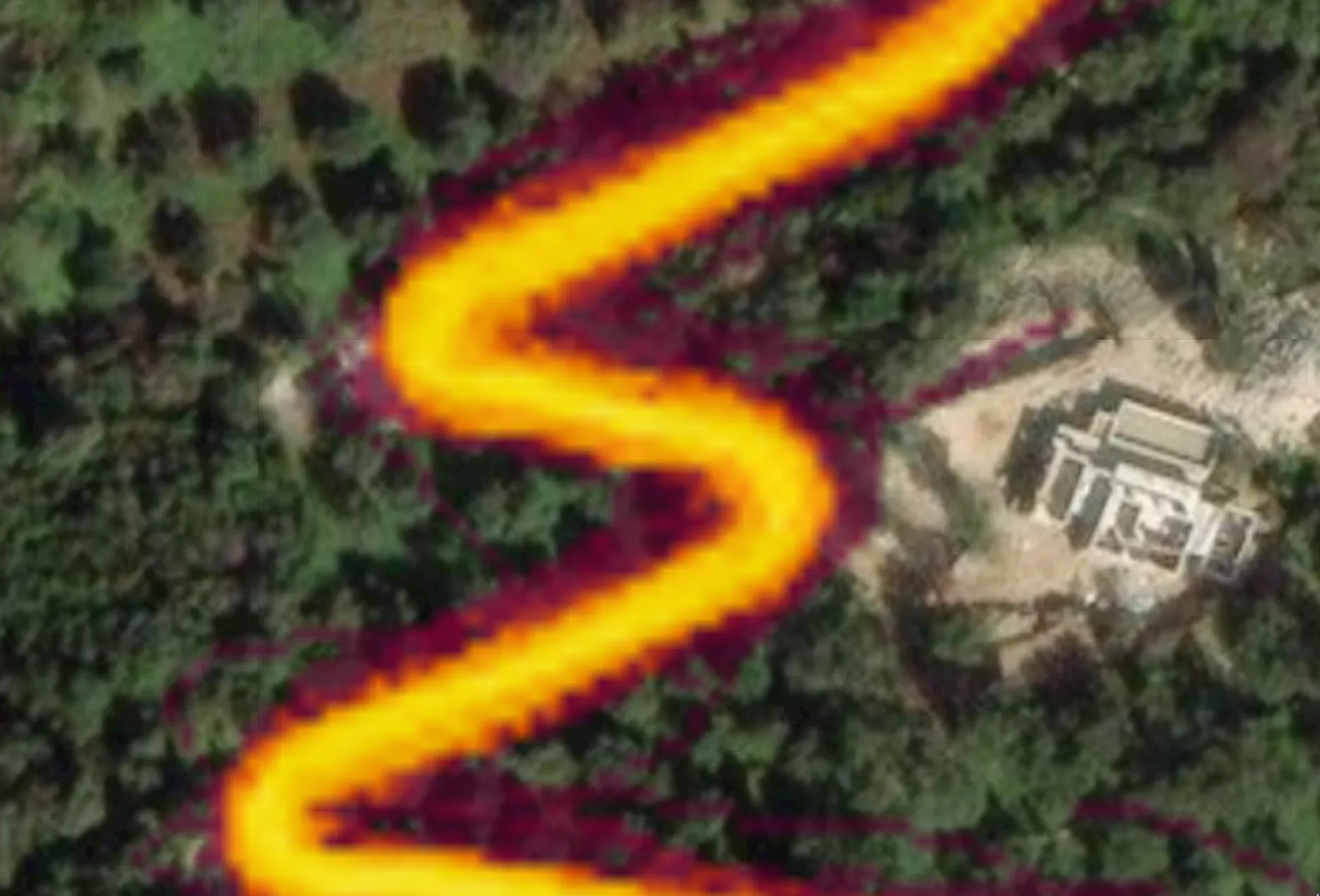 Wooded area with visible heatmap trail